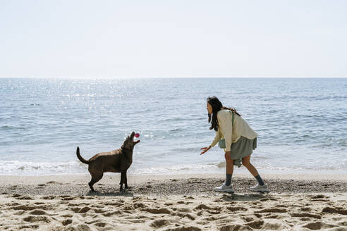 Koreanische Frau spielt mit Hund am Strand an einem sonnigen Tag - AFVF08654