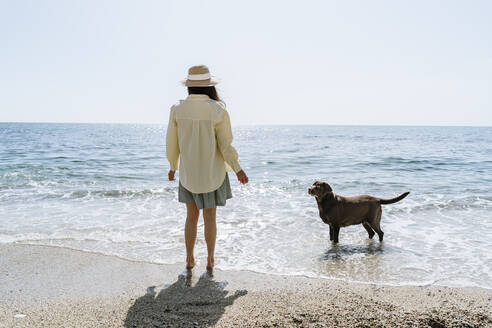 Dog looking at woman standing on coastline during sunny day - AFVF08656