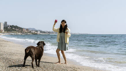 Woman holding mobile phone while playing with Labrador dog at beach - AFVF08673