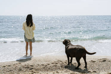 Labradorhund, der am Wochenende eine Frau am Strand beobachtet - AFVF08684