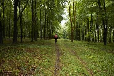 Sportler mit Fahrrad im Wald - PMF01782