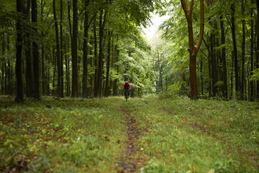 Älterer Sportler fährt Fahrrad auf einem Fußweg im Wald - PMF01783