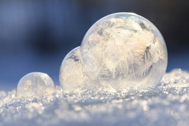 Frosted bubbles in winter - MJOF01864