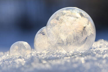Frostige Blasen im Winter - MJOF01864