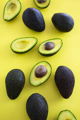 Studio shot of halved and whole avocados - GIOF12521