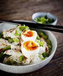 Schüssel Congee mit Hühnerbrust, gekochtem Ei, Avocado, Frühlingszwiebeln und Kräutern - KSWF02226