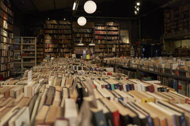 Bücher in einem Regal in der Bibliothek - VEGF04402