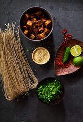 Zutaten für die Zubereitung vegetarischer Ramen mit Tofu auf dunklem Hintergrund - ADSF23358