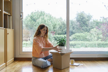 Frau hält Pflanze über Pappkarton zu Hause - AFVF08706