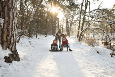 Father pushing sons sitting on sled during winter - FVDF00029