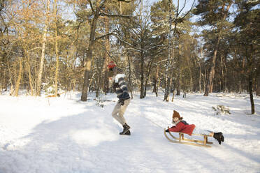 Playful father with sons in snow during winter - FVDF00058