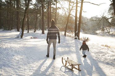 Father walking with son while pulling sled on snow during winter - FVDF00071