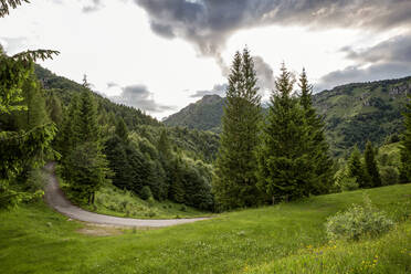 Leere Straße inmitten von Pinien und Bergen in der Provinz Brescia, Lombardei, Italien - MAMF01754
