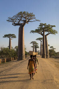 Rückenansicht von nicht erkennbaren einheimischen Frauen mit Körben auf dem Kopf, die eine sandige Straße mit großen Affenbrotbäumen auf Madagaskar entlanggehen - ADSF23459