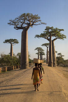 Rückenansicht von nicht erkennbaren einheimischen Frauen mit Körben auf dem Kopf, die eine sandige Straße mit großen Affenbrotbäumen auf Madagaskar entlanggehen - ADSF23459