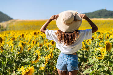 Rückenansicht einer nicht erkennbaren glücklichen ethnischen Frau mit Hut, die mit erhobenen Armen in einem blühenden Sonnenblumenfeld steht - ADSF23534