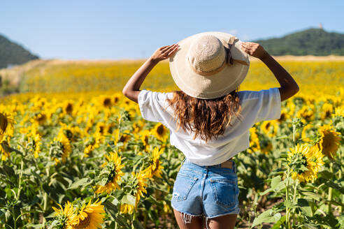 Back view of unrecognizable happy ethnic female in hat standing with raised arms in booming sunflower field - ADSF23534