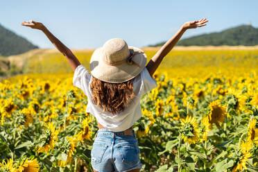 Rückenansicht einer nicht erkennbaren glücklichen ethnischen Frau mit Hut, die mit erhobenen Armen in einem blühenden Sonnenblumenfeld steht - ADSF23535