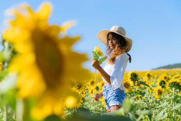 Seitenansicht einer nachdenklichen ethnischen Frau mit Hut, die eine Blume hält und in einem blühenden Sonnenblumenfeld steht und wegschaut - ADSF23543
