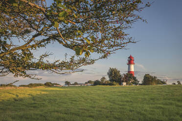 Deutschland, Schleswig-Holstein, Pommerby, Wiese vor dem Leuchtturm Falshoft in der Abenddämmerung - KEBF01856