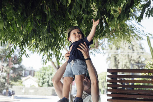 Niedlicher Junge berührt Baumblätter, während er von seinem Vater hochgehoben wird - ACTF00031