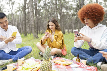 Männliche und weibliche Freunde benutzen Smartphones, während sie im Wald sitzen - JCCMF02128