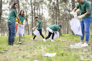 Freunde sammeln Plastikmüll im Wald - JCCMF02188