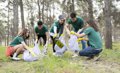 Environmentalist friends collecting plastic garbage in forest - JCCMF02190