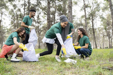 Environmentalist team working together while cleaning forest - JCCMF02194