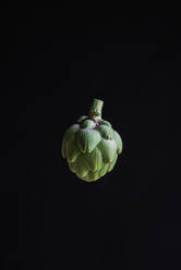 Fresh bud of green artichoke horticultural vegetable crop falling down against black background - ADSF23670