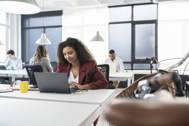 Multiethnische Gruppe männlicher und weiblicher Unternehmer, die in einem Coworking-Büro arbeiten - SNF01360