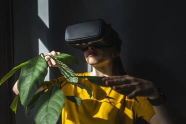 Woman touching plant while using virtual reality headset at home - VPIF03948