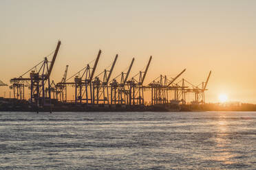 Deutschland, Hamburg, Containerkräne entlang der Elbe bei Sonnenuntergang - KEBF01925