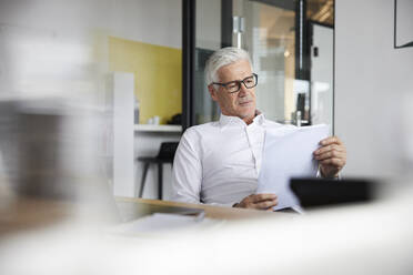 Männlicher Fachmann, der ein Dokument liest, während er im Büro sitzt - RBF08157