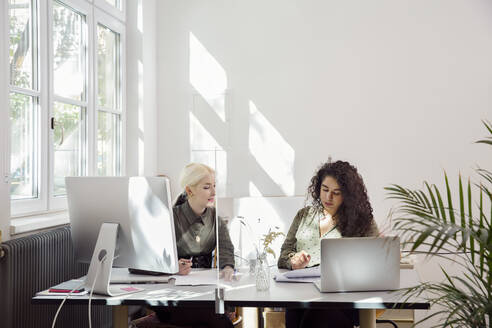 Frauen arbeiten gemeinsam in einem Büro mit Schutzwand - ISF24570