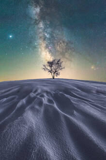 Malerischer Blick auf einen blattlosen Baum in einer weiten Sandwüste unter einem dunklen Himmel im Nationalpark Picos de Europa - ADSF24011