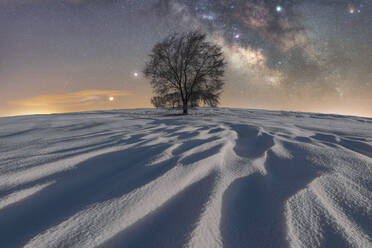 Malerischer Blick auf einen blattlosen Baum in einer weiten Sandwüste unter einem dunklen Himmel im Nationalpark Picos de Europa - ADSF24012