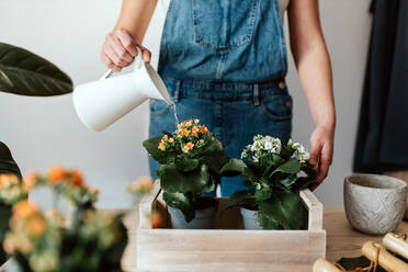 Crop anonymous female horticulturist watering blossoming plants with lush leaves in wooden box in house - ADSF24037