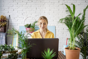Schöne Geschäftsfrau arbeitet am Laptop im Büro zu Hause - RCPF01021