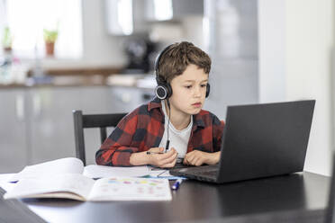 Boy e-learining through laptop at home - WPEF04364