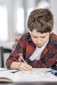 Boy with brown hair studying at home - WPEF04378