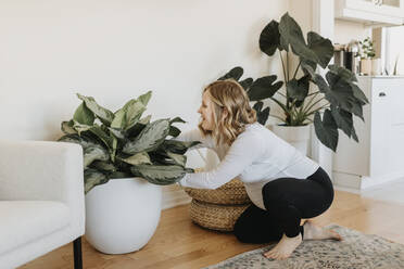 Woman taking care of plant at home - SMSF00551