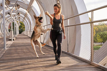 Frau in Sportkleidung spielt mit ihrem Deutschen Schäferhund und springt dabei auf einen Holzsteg - ADSF24138