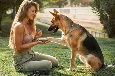 Side view of positive female owner sitting near German Shepherd dog giving paw while training commands in park - ADSF24141