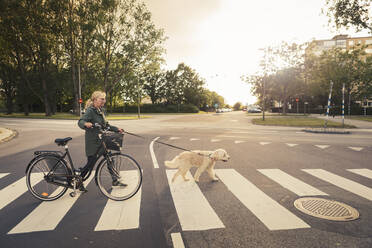 Ältere Frau fährt mit dem Fahrrad und überquert die Straße mit einem Hund - MASF23775