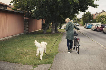 Ältere Frau mit Hund und Fahrrad auf dem Gehweg - MASF23777