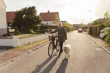 Ältere Frau fährt Fahrrad und geht mit Hund auf der Straße spazieren - MASF23779