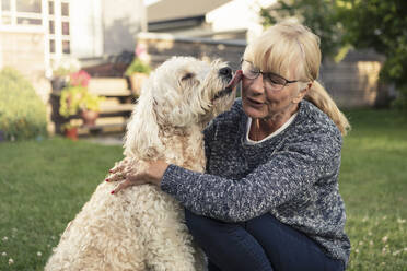 Hund leckt reife Frau im Hinterhof - MASF23780