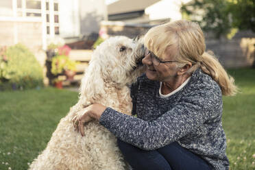 Hund küsst blonde Frau im Vorgarten - MASF23781