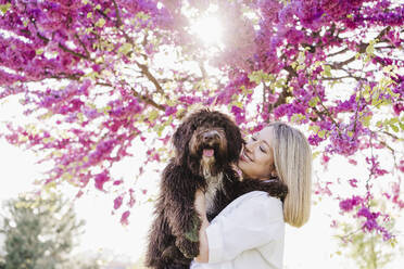 Lächelnde Frau trägt spanischen Wasserhund durch rosa Baum während sonnigen Tag - EBBF03457